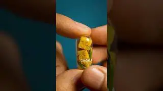 food Capsule #mustwatch #new #viral #youtubeshorts #trending