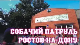 Открытие центра стерилизации &laquo;Собачий патруль&raquo; г. Ростов-на-Дону. The Alice Twins #54