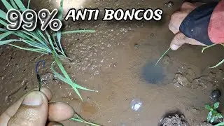 Auto dapat banyak !!! Spil kail pancing belut sawah sangat ampuh