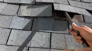 Susan's Dickstein's lack of repairable shingles