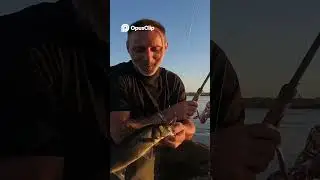 spigole a spinning Quantit&agrave; vs  Qualit&agrave;  La Mia Strategia Vincente! #fishing #viralvideo