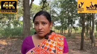 Topic: The giant Elephant Did not only attack the Lady see what the Elephant Did