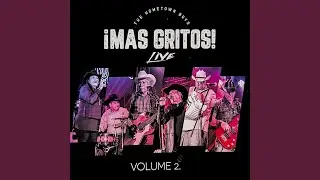 Te Vas Angel Mio (Live)