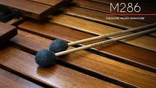 Product Spotlight: M286 - Theodore Milkov Mallets - Hard & Bright