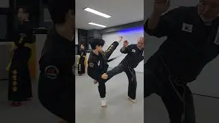 a high-kick counter  #shorts #koreanmartialarts #lowkick