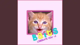 Liberate You