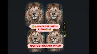 UP-CLOSE WITH LIONS😱😱AT NAIROBI SAFARI WALK END-YEAR EDITION