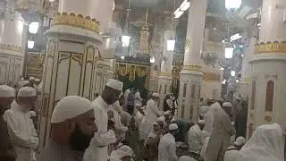 al Rawdah review 360&deg;/ар-рауда, рауда 360&deg; обзор