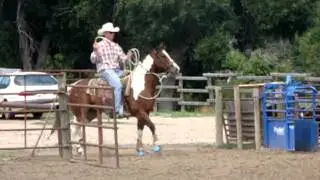STRAIT SMOKIN DOCWOOD - Lot 59