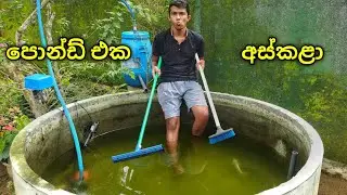 HOW I clean my Monster fish POND | පොන්ඩ් එක අස්කළා