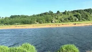 River Trent hoveringham 
