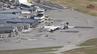 Queenstown live stream