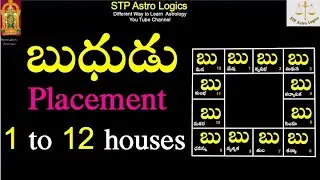 బుధుడు /Mercury Placement 1 to 12 houses