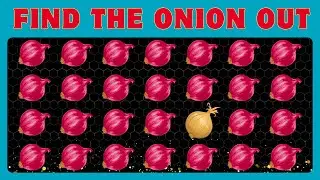 Find The ODD One Out | 2024 Onion The Hedgehog Quiz Extreme Hard
