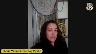 Dogs Learn From Tone Inflections