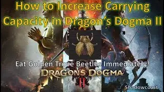 How to Increase Your Carrying Capacity in Dragon's Dogma II! Eat Golden Trove Beetles Immediately!