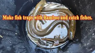 How to make traps to catch fishes @TheCountryside-01