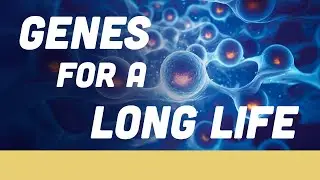 GB Longevity100 - Can you mimic centenarian genes for a longer life?