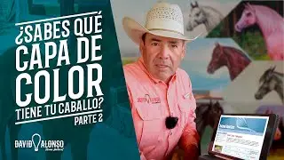 &iquest;Sabes qu&eacute; capa de color tiene tu caballo? | Cap&iacute;tulo 2