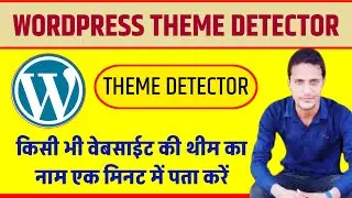 Wordpress Theme Detector - Wordpress Theme and Plugin Detector