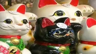 Live Auction by Auctions4u presenting Cats meow
