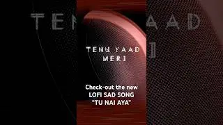 Tu Nai Aya - Lofi Sad Song (Punjabi Song) Full Song on the Channel #sadsong #punjabisong #lofisong