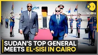 Egypt Rejects Establishment of Any Parallel Entities | WION