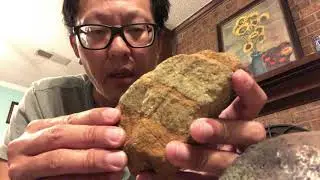 Nickel- and cobalt-laterites and why they are often found where biodiversity is greatest.