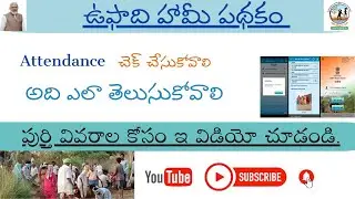 How to check upadi hami pathakam muster attendance 2024-2025 #mgnrega