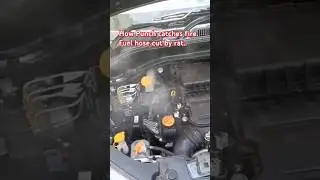 Punch Regular Fuel line checkup is necessary..