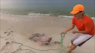 Fishing off Johnson Beach in Perdido Key Florida. Catching HUGE mullet and a SHARK!!