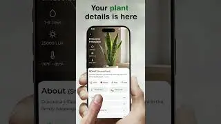 Plant App - Plant Identifier & Plant Care #plantcare #plantips #tipsandtricks