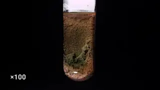 CuCl2 + Fe (copper(II) chloride + iron)