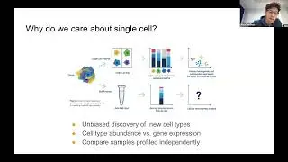 Bioinformatics Club | 19.08 - How can AI transform the analysis of gene expression data?
