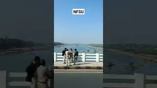 AMD - NFSU |GANDHINAGAR