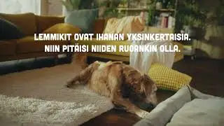 SMAAK - ei mit&auml;&auml;n turhaa!