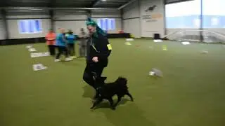 T&ouml;pi RO1- IV. Rally Obedience Winter Cup 2024.12.08