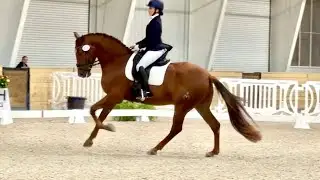 Calanmai MOR Training Level Test 3 74% 