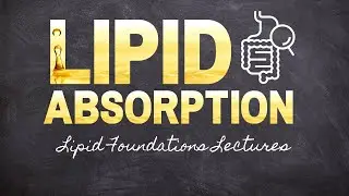 Absorption of Digested Fat | Part 10 Lipid Foundations | Macronutrients Lecture 76