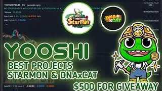 YOOSHI UPDATE | STARMON & DNExCAT BEST PROJECTS $500 FOR GIVEAWAY