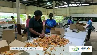 ePhyto has been a game-changer for Mahen's Export