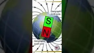 Why compass needle always points north?