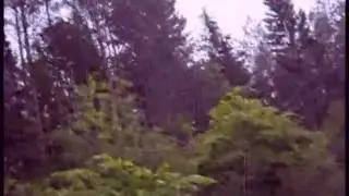Sarin Sunday - Elocin Sunrise (MV)