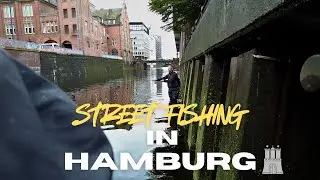 🎣 Streetfischen in Hamburg &ndash; Barsche direkt aus der City