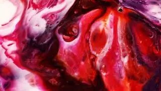 Milk Food Coloring Mixer Stock Video