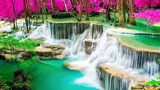 Epic Thai Jungle Waterfall Cascade &bull; 10 Hours &bull; Ultimate Relaxation &bull; No Mid-Roll Ads