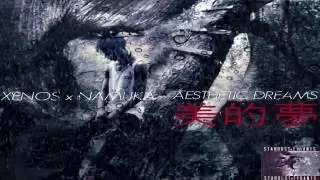 XENOS x NAMUKA - AESTHETIC DREAMS   AMV (PROD. BY SCREAM MAKER)