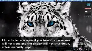 Mac OS X: Caffeine (Menu Bar App)