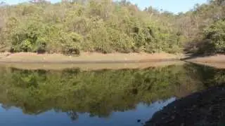 Cycling to Barvi Dam - Bird Watching Paradise