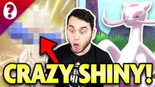 I CAN'T BELIEVE I HATCHED THIS SHINY?!